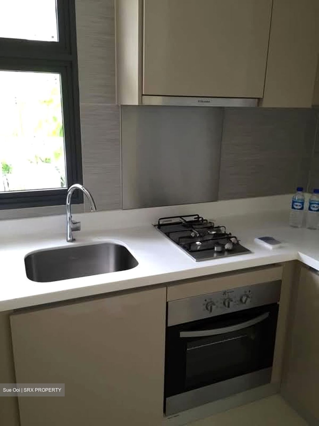 Blossom Residences (D23), Condominium #535756271